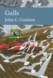 Gulls synopsis, comments