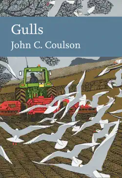 gulls book cover image