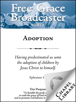 adoption book cover image
