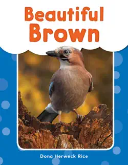 beautiful brown imagen de la portada del libro