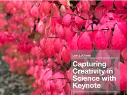 capturing creativity in science with keynote book cover image