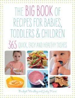 big book of recipes for babies, toddlers & children book cover image