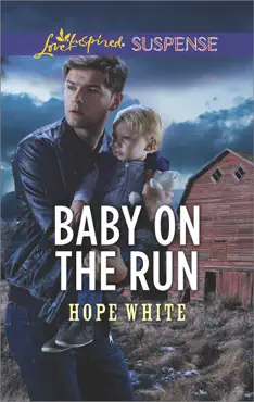 baby on the run book cover image