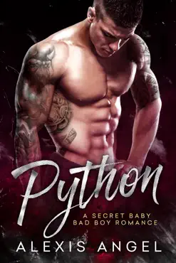 python book cover image