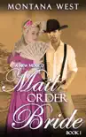 A New Mexico Mail Order Bride 1 book summary, reviews and download