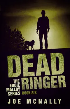 dead ringer book cover image