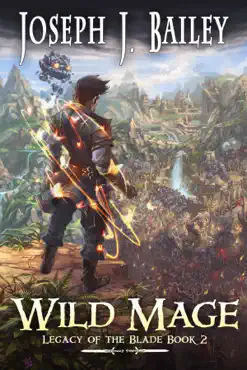 wild mage book cover image