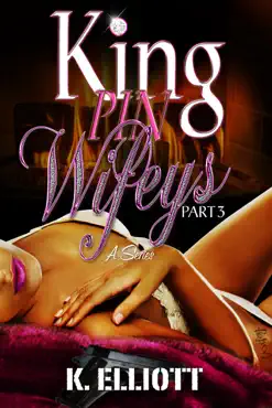 kingpin wifeys part 3 book cover image