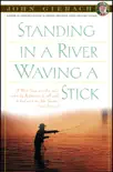 Standing in a River Waving a Stick synopsis, comments