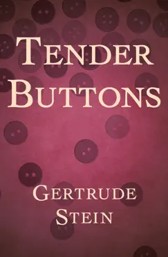 tender buttons book cover image