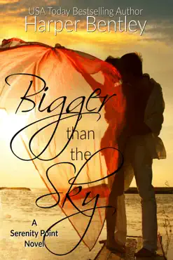 bigger than the sky book cover image