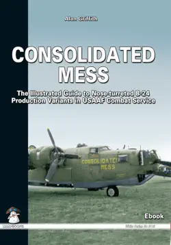 consolidated mess book cover image