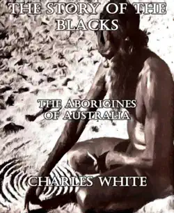 the story of the blacks book cover image