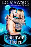 Castaway Heart synopsis, comments