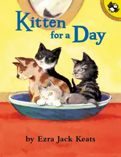 kitten for a day book cover image
