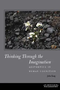 thinking through the imagination book cover image