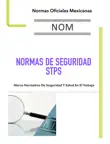 Normas de Seguridad STPS sinopsis y comentarios
