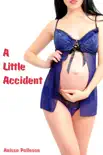 A Little Accident synopsis, comments