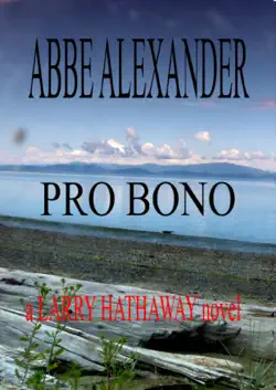 pro bono book cover image