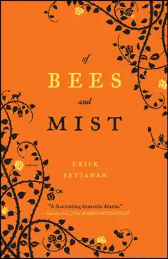 of bees and mist book cover image