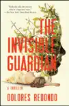 The Invisible Guardian synopsis, comments