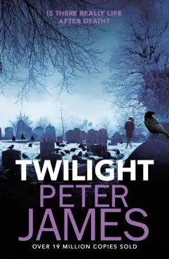 twilight book cover image