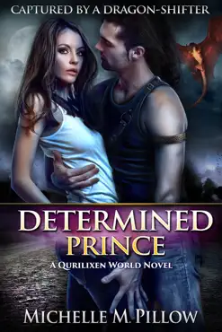 determined prince book cover image