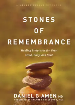 stones of remembrance book cover image