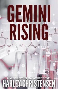 gemini rising book cover image