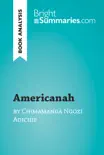 Americanah by Chimamanda Ngozi Adichie (Book Analysis) sinopsis y comentarios
