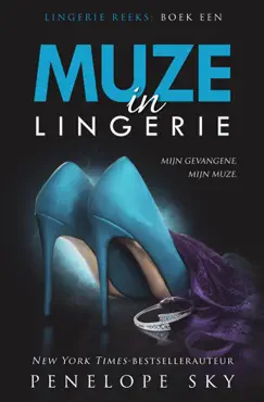 muze in lingerie book cover image