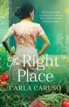 The Right Place synopsis, comments