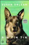Rin Tin Tin synopsis, comments