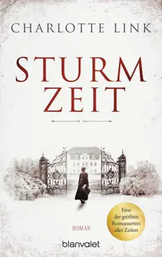 sturmzeit imagen de la portada del libro