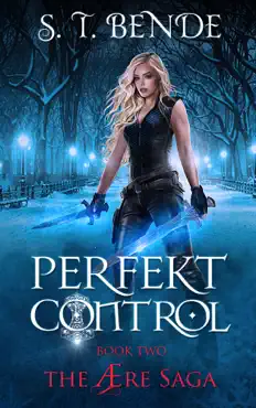 perfekt control (the Ære saga book 2) book cover image