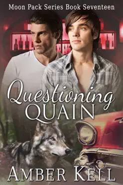 questioning quain book cover image