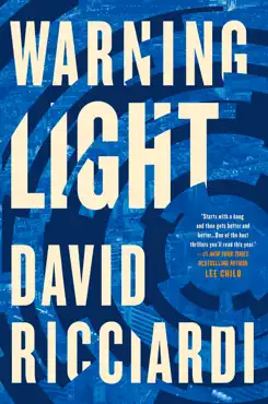 warning light book cover image