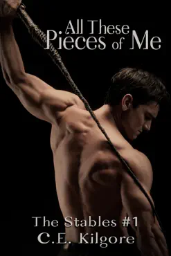 all these pieces of me book cover image