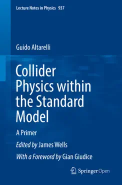 collider physics within the standard model book cover image