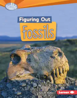 figuring out fossils book cover image