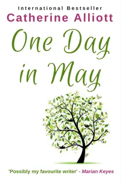 one day in may book cover image