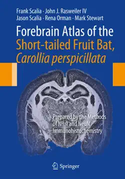 forebrain atlas of the short-tailed fruit bat, carollia perspicillata book cover image