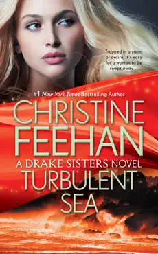 turbulent sea book cover image