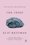 The Idiot e-book