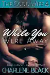 While You Were Away synopsis, comments