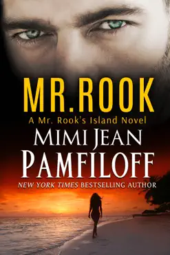 mr. rook book cover image