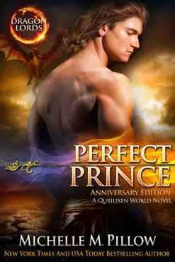 perfect prince book cover image