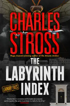 the labyrinth index book cover image