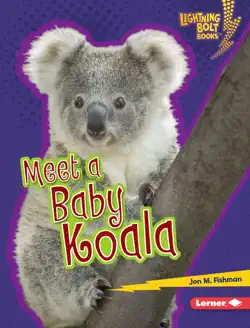 meet a baby koala book cover image