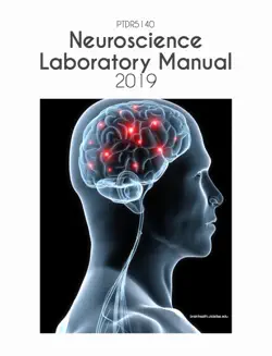 neuroscience manual 2019 book cover image